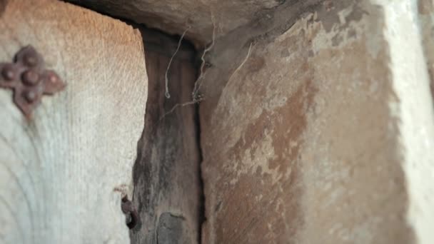 Antikes Holzfenster, auf einem grauen schäbigen Gebäude, um Spinnweben und Dreck — Stockvideo