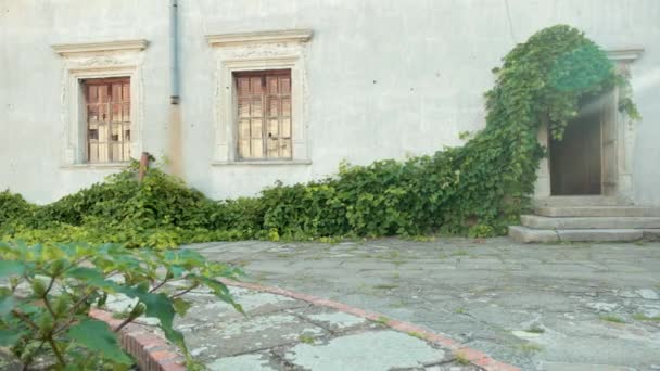 Hof mit ramponierten Wänden, auf denen Holzfenster, wachsende große grüne Büsche — Stockvideo