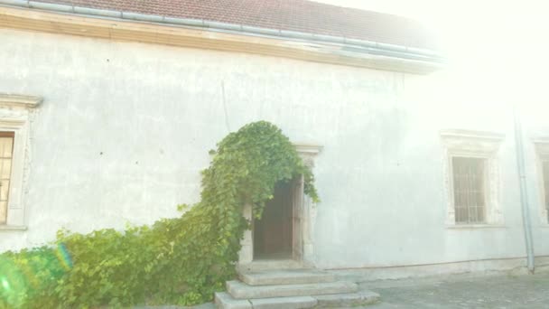 庭院与破碎的墙壁，其中木制窗户，增长大绿色布什 — 图库视频影像