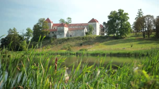 Powolny ruch wysokiej zielonej trawy nad jeziorem, w tle starożytnego zamku — Wideo stockowe