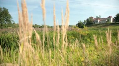 Arka planda antik kale yavaş hareket yüksek yeşil çim