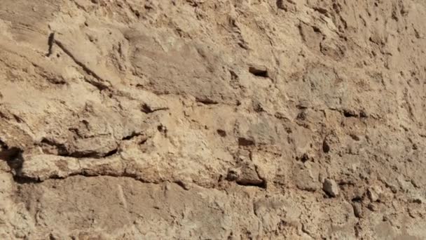 Yontulmuş bir taştan duvar parçası yakın çekim — Stok video