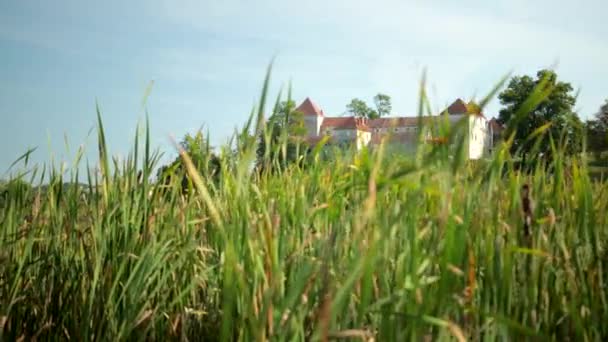 Pomalý pohyb vysoké zelené trávy v pozadí starověkého hradu — Stock video