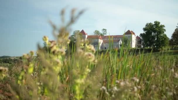 Césped verde alto de cámara lenta en el fondo antiguo castillo — Vídeo de stock