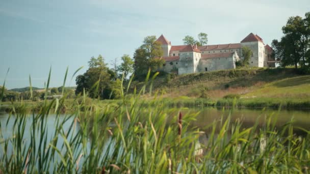 Медленное движение высокой зеленой травы у озера, на заднем плане древний замок — стоковое видео