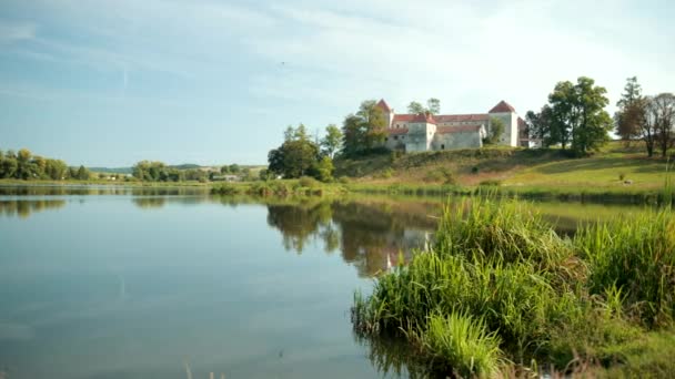 湖の前の背の高い緑の草のスローモーション, 背景に古代の城 — ストック動画