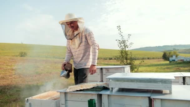 Homme apiculteur en vêtements spéciaux, tenant un fumeur pour calmer les abeilles, beaucoup de fumée — Video