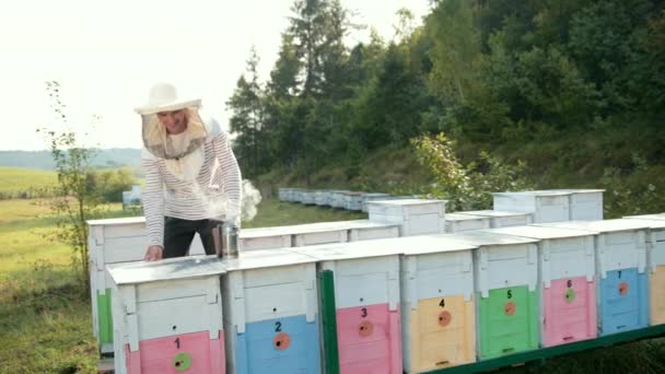 Včelař, otevírá úl, drží kuřáka, aby uklidnila včely, hodně kouře — Stock video