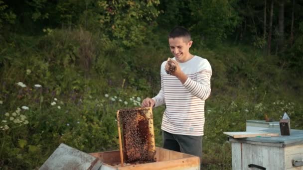 Pszczelarz stoi w pobliżu uli trzymającej ramę pszczół, w której znajduje się plaster miodu — Wideo stockowe