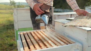 özel giysiler içinde adam arıcı, arılar sakin bir sigara içen tutarak, duman bir sürü