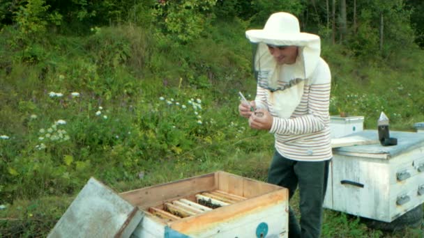 Beekeeper marker for label Queens, holding fingers puts mark on Queen bee — Stock Video