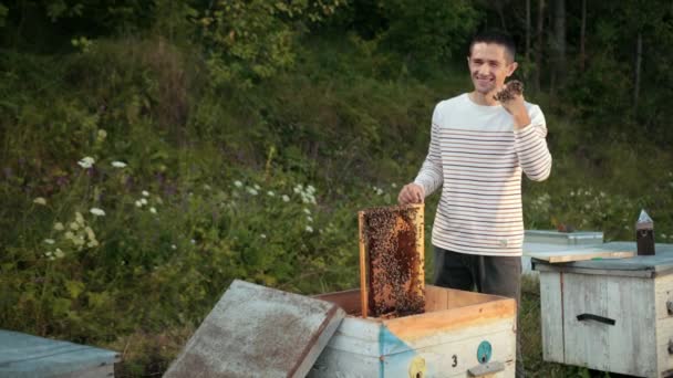 Pszczelarz stoi w pobliżu uli trzymającej ramę pszczół, w której znajduje się plaster miodu — Wideo stockowe