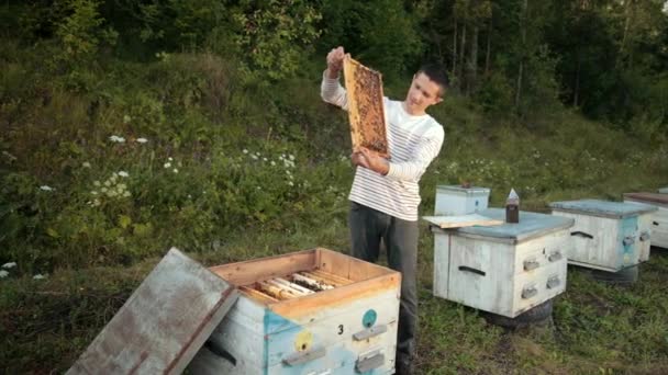 Beekeeper stands near the hives holding bee frame in which there is a honeycomb — Stock Video