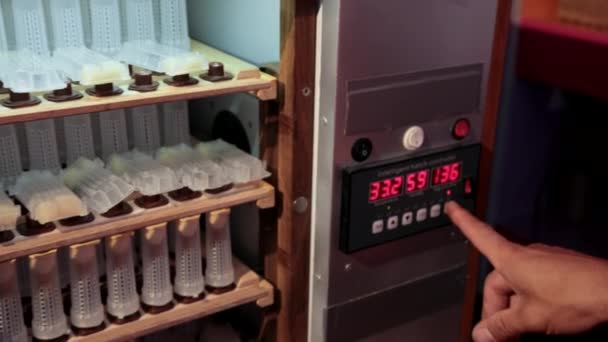 Shelves with cell curlers for the withdrawal of queen bee in a special locker — Stock Video