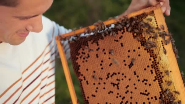 Apicultor está cerca de las colmenas que sostienen el marco de la abeja en el que hay un panal — Vídeo de stock
