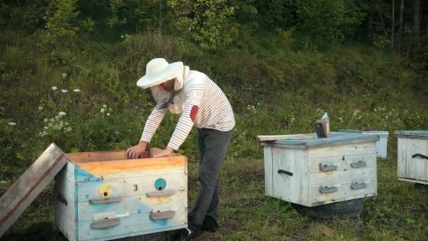 Imker staat in de buurt van de netelroos Holding Bee frame waarin er een honingraat — Stockvideo