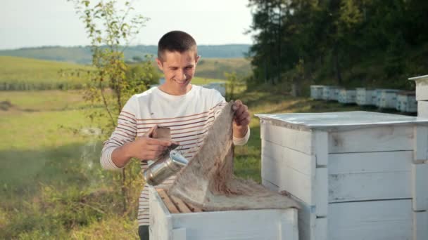 Apicultor hombre comprueba panal y recoge las abejas a mano — Vídeo de stock
