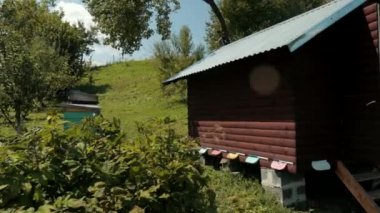 arılar uyku birçok ahşap, renkli kovanları ve ev, arılar etrafında sinek
