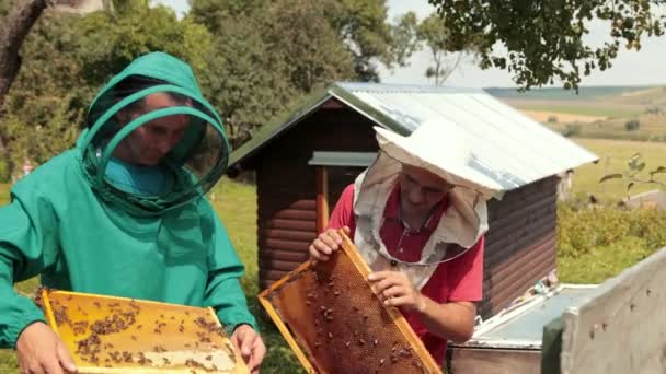 Dois apicultores em trajes especiais verdes e vermelhos, coletando mel — Vídeo de Stock