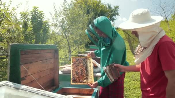 two beekeepers in green and red special attire, collecting honey