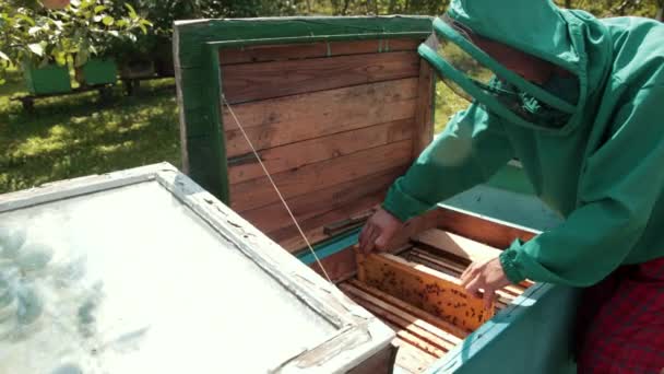 箱的蜂巢框架，养蜂人在绿色特殊的衣服收获蜂蜜 — 图库视频影像