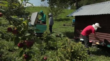 çerçevearı, bal toplamak özel giysiler içinde üç arıyetiştiricileri
