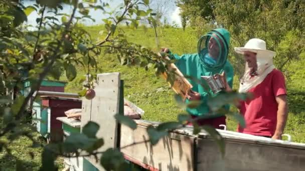 Dois apicultores em trajes especiais verdes e vermelhos, coletando mel — Vídeo de Stock