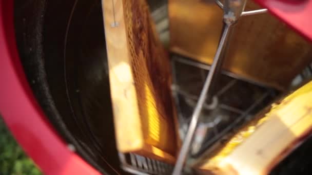Extractor de miel en la granja de abejas. Tres panales están dispuestos en un círculo — Vídeos de Stock