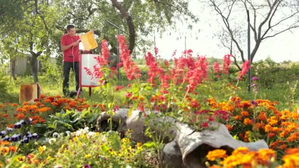 Apiculteur coupe la cire du cadre en nid d'abeille avec un couteau électrique spécial — Video