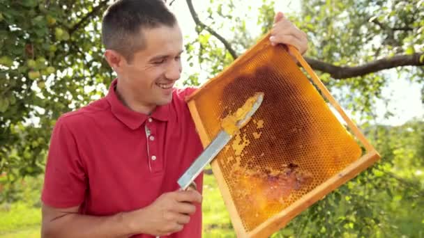 Beekeeper cuts wax from honeycomb frame with a special electrik knife — Stock Video