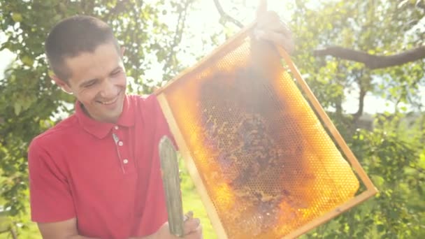 Apicultor corta cera de quadro favo de mel com uma faca elétrica especial — Vídeo de Stock