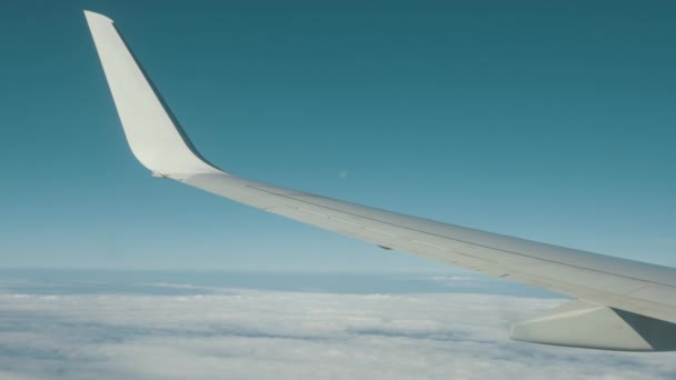 Самолет летит. Вид через окно самолета крыла и турбины . — стоковое видео