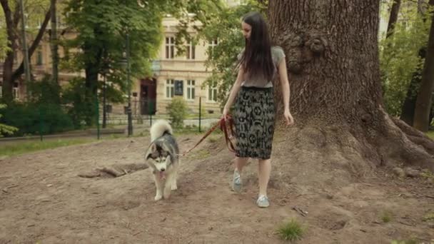 Una giovane donna bionda attraente cammina con il cane robusto siberiano purosangue nel parco — Video Stock