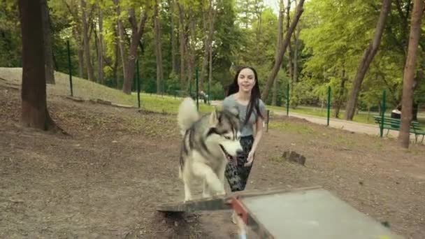 En attraktiv ung blond kvinna leker med renrasiga sibiriska husky hund i parken — Stockvideo