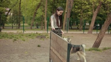 Çekici bir sarışın kadın parkta safkan Sibiryalı Husky Köpeğiyle oynuyor.