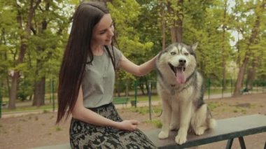 Çekici bir sarışın kadın parkta safkan Sibiryalı Husky Köpeğiyle oynuyor.