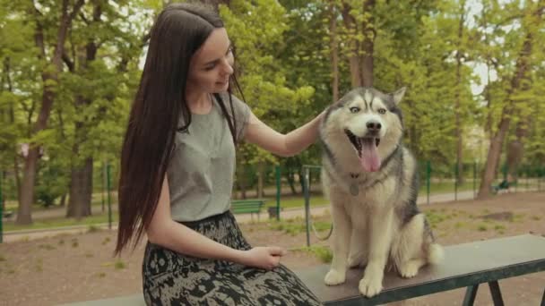 Seorang Wanita Pirang Muda yang Atraktif Bermain Dengan Anjing Husky Siberia Purebred di Taman — Stok Video