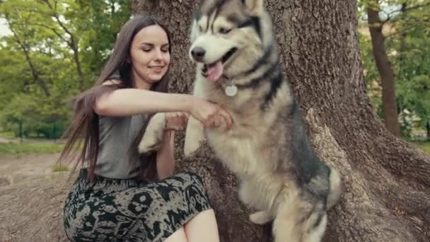 Eine attraktive junge blonde Frau spielt mit einem reinrassigen sibirischen Husky-Hund im Park. — Stockvideo