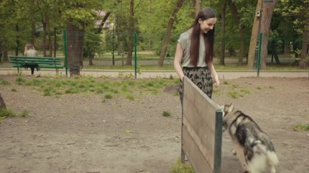 Una atractiva joven rubia jugar con pura raza perro Husky siberiano en el parque — Vídeos de Stock