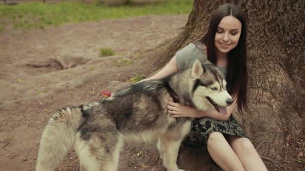 Una atractiva joven rubia jugar con pura raza perro Husky siberiano en el parque . — Vídeo de stock