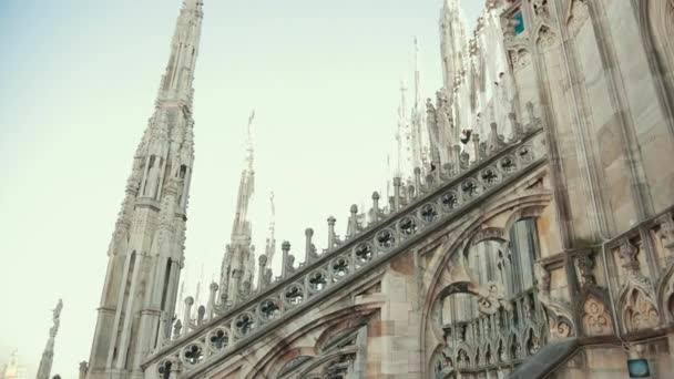 Sculptures saints and martyrs decorating the Cathedral Milan Duomo di Milano — Stock Video