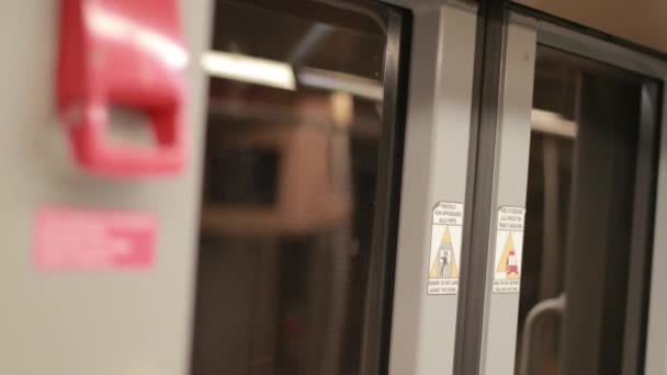 U-Bahn-Auto fährt in U-Bahn-Tunnel Geschlossene Haustür des Zuges. Unklarer Hintergrund — Stockvideo
