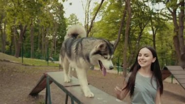 Çekici bir sarışın kadın parkta safkan Sibiryalı Husky Köpeğiyle oynuyor.