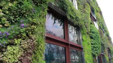 Le Mur Vegetal Garden, Quai Branly Müzesi, Living Wall, Jean Nouvel