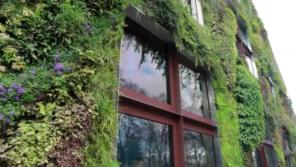 Le Mur Vegetal Garden, Quai Branly Müzesi, Living Wall, Jean Nouvel — Stok video