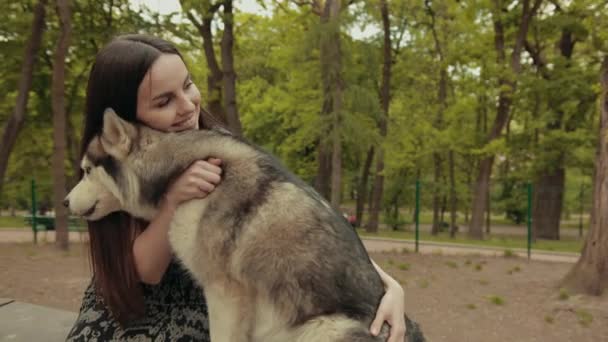 Eine attraktive junge blonde Frau spielt mit einem reinrassigen sibirischen Husky-Hund im Park — Stockvideo