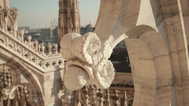 Esculturas santos y mártires decorando la Catedral de Milán Duomo di Milano — Vídeos de Stock