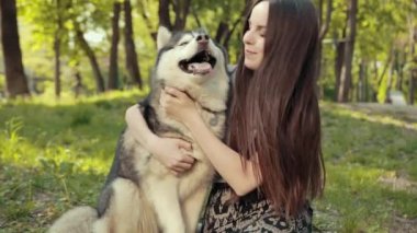 Çekici bir sarışın kadın parkta safkan Sibiryalı Husky Köpeğiyle oynuyor.