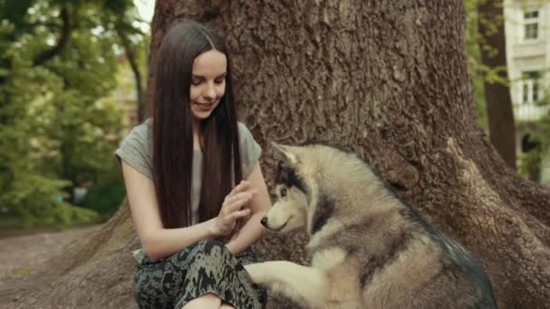 Una atractiva joven rubia alimenta a un perro Husky siberiano de pura raza en el parque — Vídeo de stock