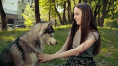 Çekici Sarışın Kadın, Safkan Sibiryalı Husky Köpek Tokalaşıyor